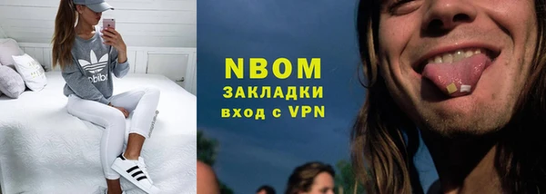 прущие грибы Вязьма