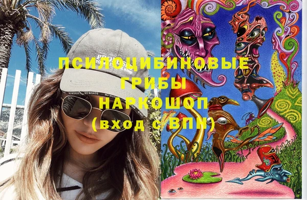 бошки Володарск