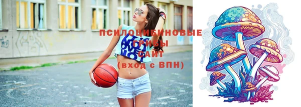 бошки Володарск