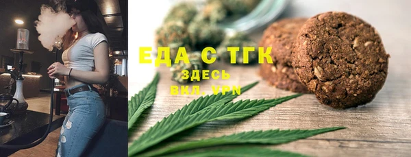 индика Бронницы